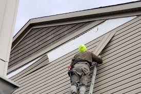 Best Historical Building Siding Restoration  in , TN